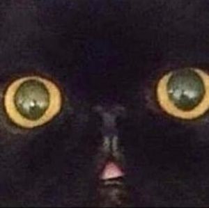 Meet your Posher, Leslie